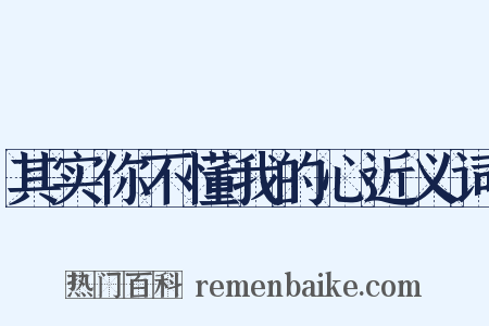 其实你不懂我的心近义词是什么意思的图片